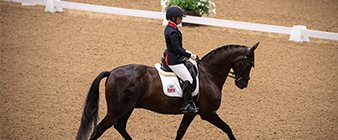 Horse change in the Paralympic dressage squad