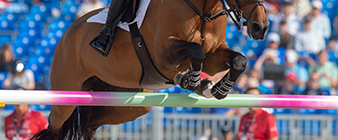 Showjumping nominated entries for Tokyo 2020 Olympic Games announced