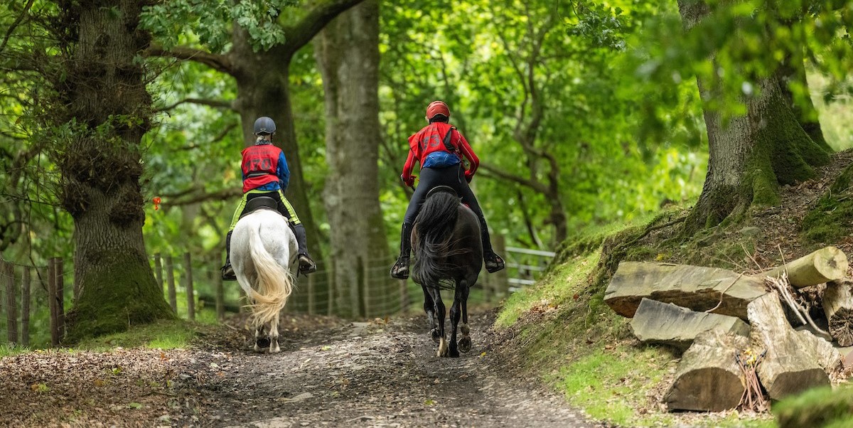 Forestry England opens up woodlands for more horse riding