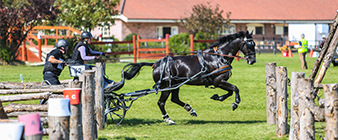 British Carriagedriving names team for World Single Championship