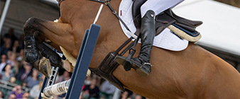 British Equestrian announces jumping nominated entries for Paris 2024 Olympic Games