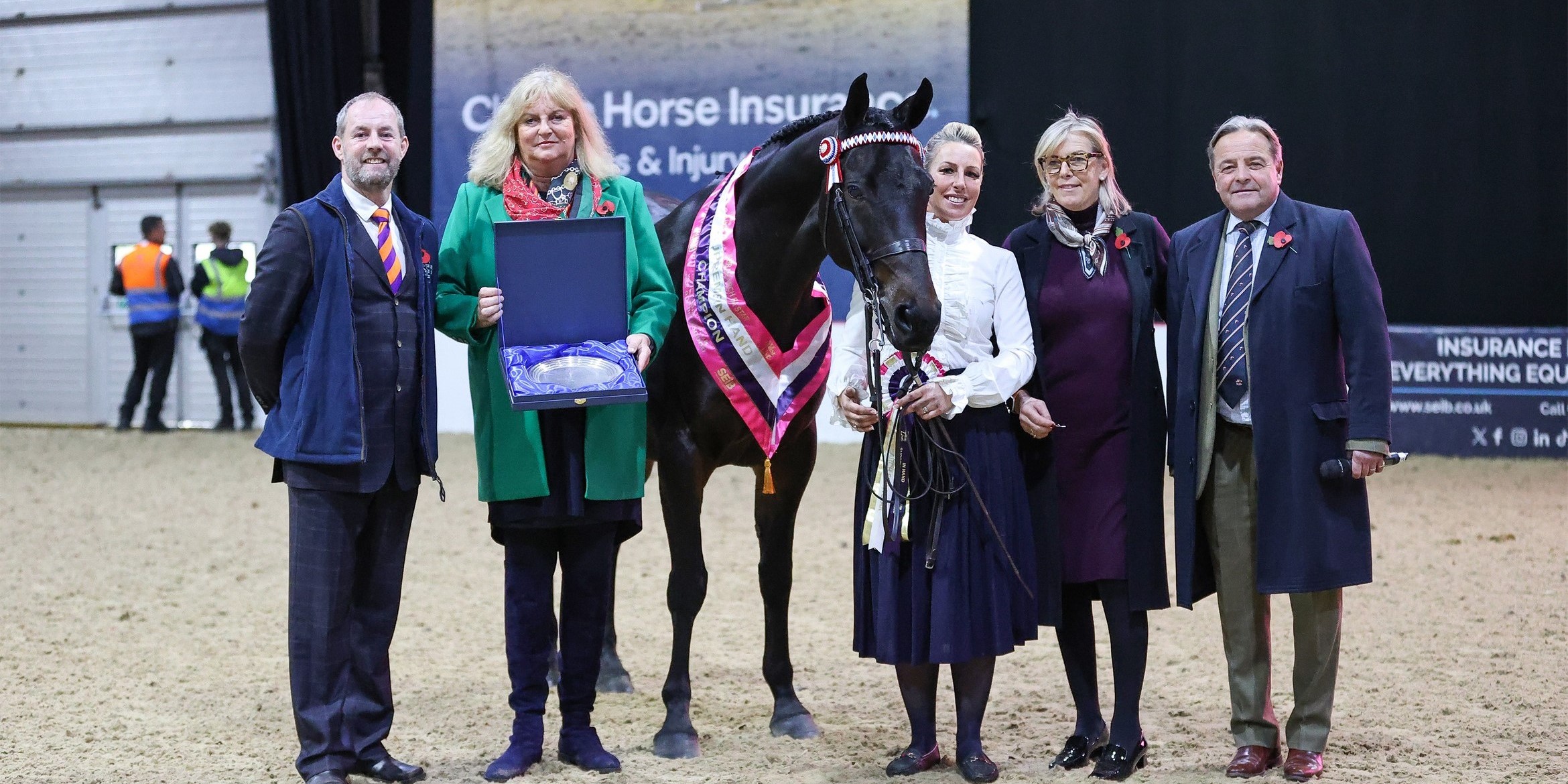 British Riding Clubs SEIB Search for a Star champion takes the Supreme Your Horse Live title