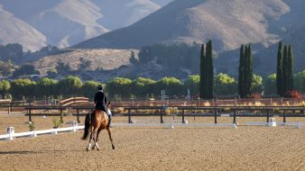 Temecula proposed as new venue for LA28 Games equestrian events
